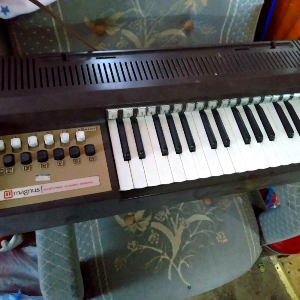 Magnum organ